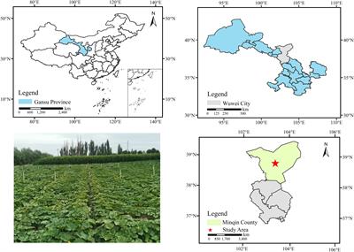 Comprehensive evaluation of the water-fertilizer coupling effects on pumpkin under different irrigation volumes